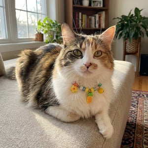 "Chat tigré portant un collier chat jaune avec médaille à la maison"