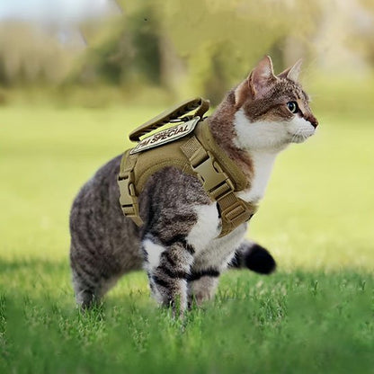 Chat tigré portant un harnais tactique SPECIAL dans l'herbe"