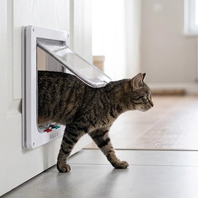 Chat tigré sortant d'une chatière blanche installée sur porte intérieure