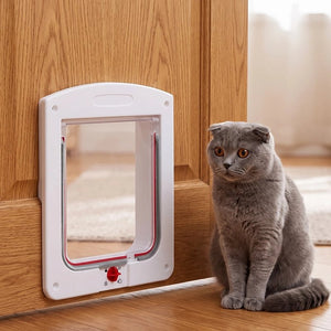 Chatière pour chat blanche installée sur porte en bois, chat Scottish Fold gris assis à côté