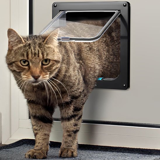 Chatière chat installée sur porte