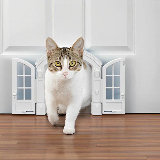  "Chatière Minou Loft 4 positions sécurisée"