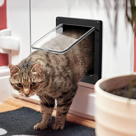 Chatière chat vue complète