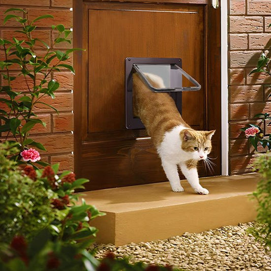  Chatière pour chat 4 positions