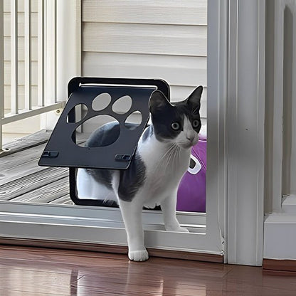 Chat utilisant chatière porte vitrée