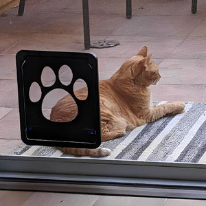 Chat roux utilisant la chatière noire sur terrasse