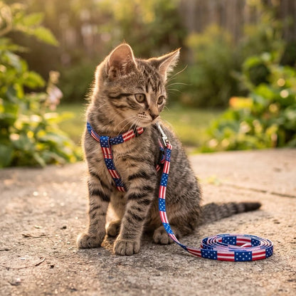 Chaton tigré assis dehors avec un harnais et une laisse à motif drapeau américain