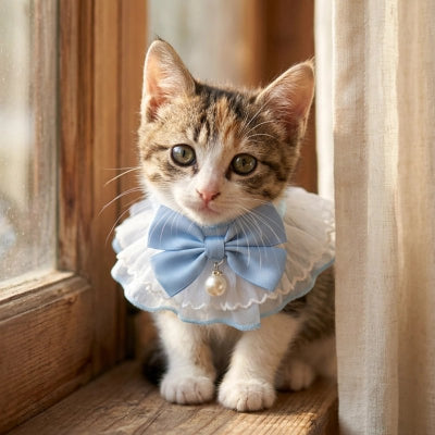 Chaton tigré assis sur un rebord de fenêtre en bois, portant un collier volanté bleu ciel avec nœud satiné et perle