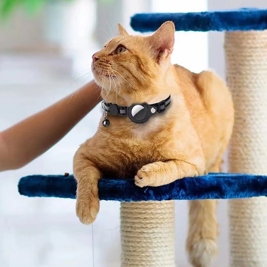 Collier AirTag ajustable pour chat roux sur arbre à chat bleu