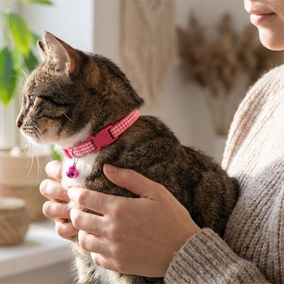 Collier chat ajustable rose à motif vichy avec clochette - Chaton avec collier confortable