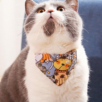 Collier chat bandana coloré avec motifs animaux
