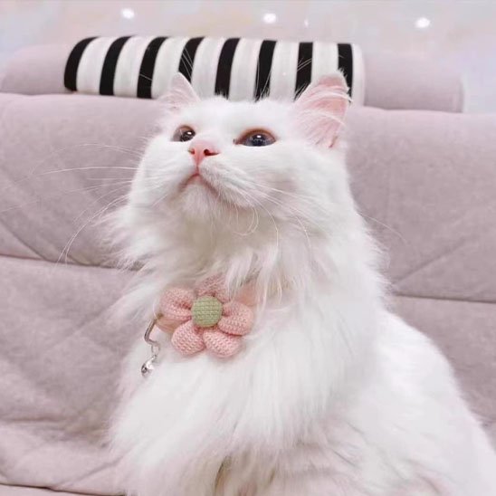 Collier chat fleur rose pastel clochette