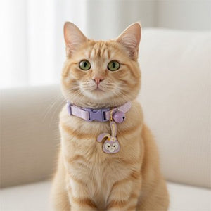 Collier chat lilas avec médaille lapin – accessoire chat élégant