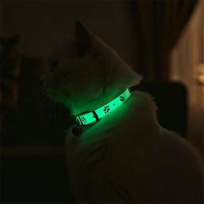 Collier chat lumineux fluorescent nuit