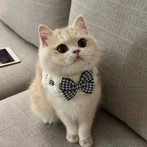 Collier Chat nœud papillon noir et blanc
