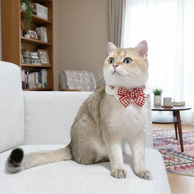 Collier Chat nœud papillon rouge