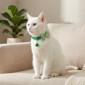  Collier chat nœud papillon vert clochette canapé