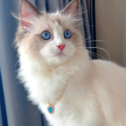 Collier chat perles pendentif cœur bleu Ragdoll