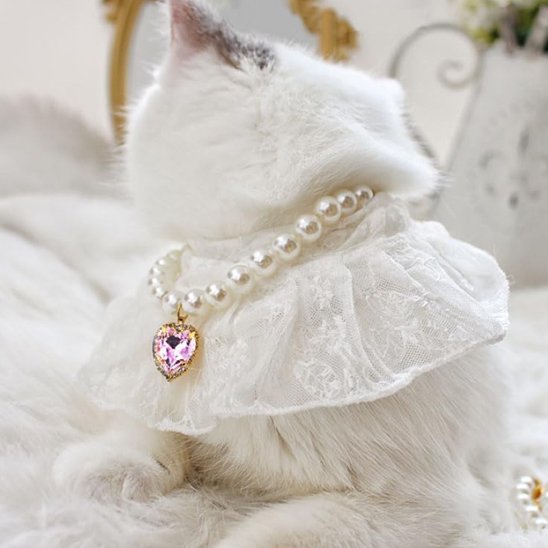 Collier chat perles pendentif cœur rose vue dos