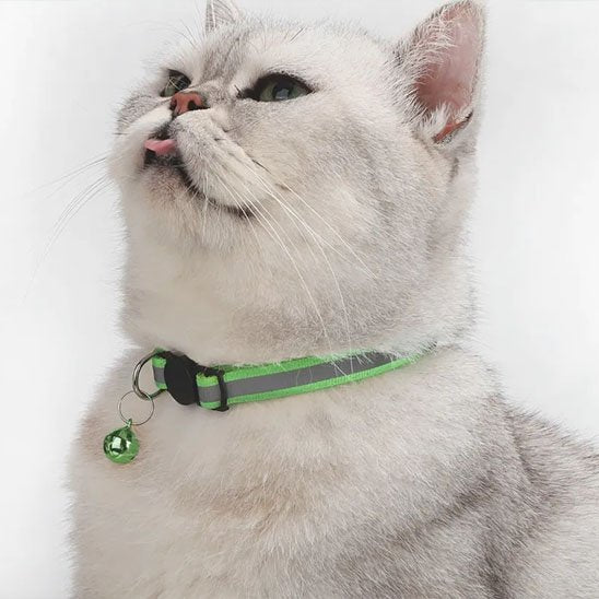 Collier chat réfléchissant vert avec clochette