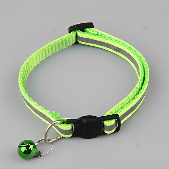  Collier chat réfléchissant vert clochette fond gris