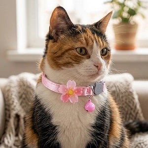 Collier chat rose sakura avec fleur et clochette - vue portée sur chat tricolore