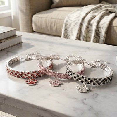 Collier chat strass multicolore pendentif patte
