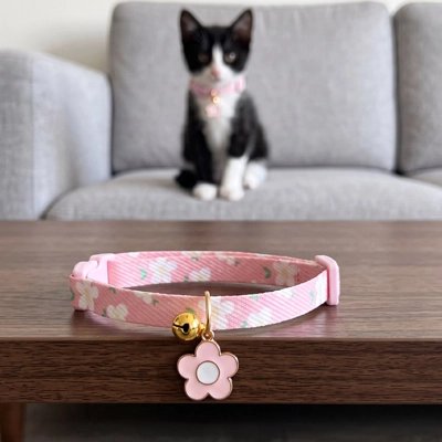 Collier chaton rose à motifs fleuris avec clochette dorée et pendentif fleur, posé sur une table devant un chat noir et blanc