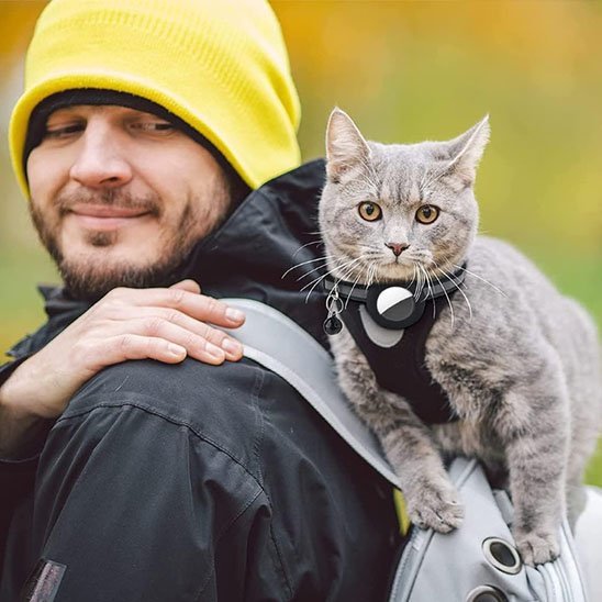 Collier GPS AirTag pour chat - chat gris porté par son propriétaire en extérieur
