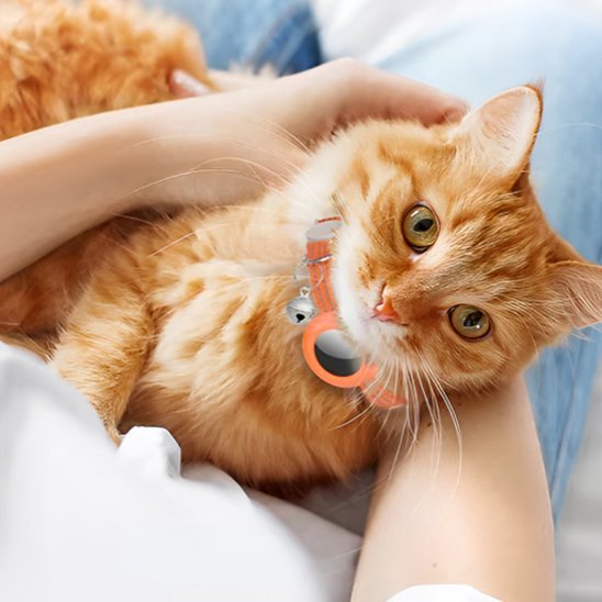Chat roux allongé avec collier pour chat GPS orange