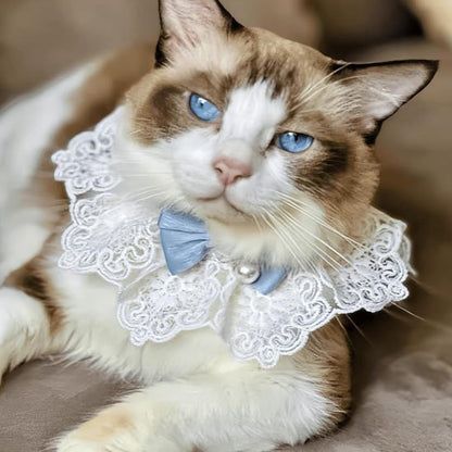 Collier pour chat col dentelle nœud bleu Ragdoll