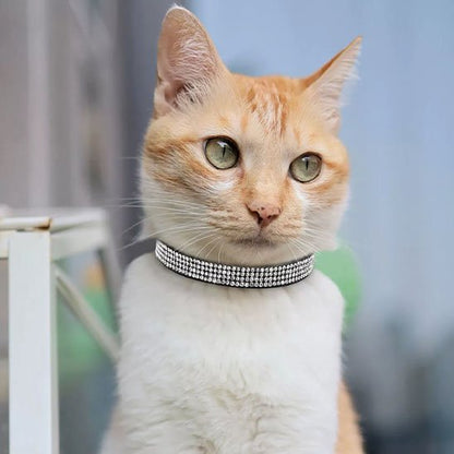 Collier pour chat strass blanc