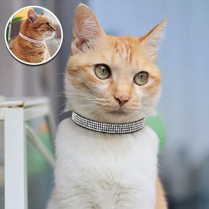 Collier pour chat strass brillant 