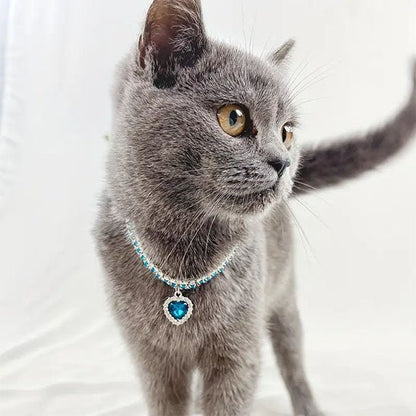 Collier pour Chat strass pendentif cœur bleu cristal