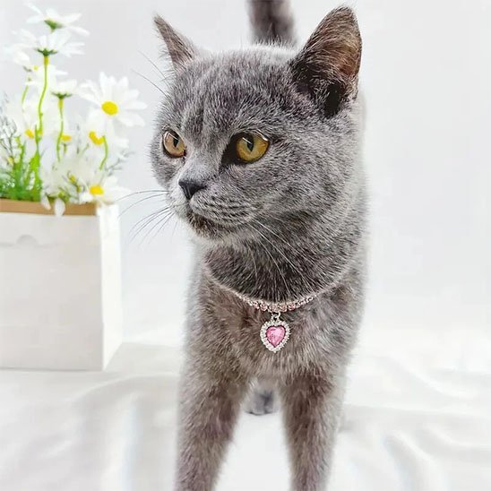 Collier pour chat strass pendentif cœur rose pâle cristal