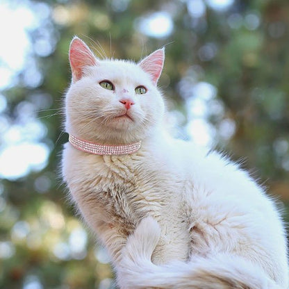 Collier pour chat strass rose