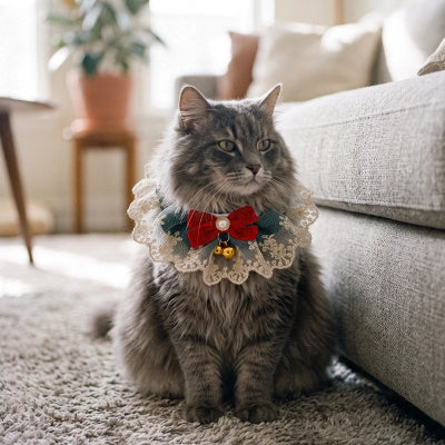 Collier pour chat vert avec nœud rouge porté par un chat gris