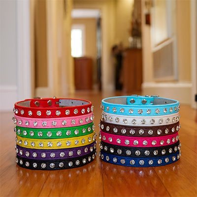 "Collier pour chat disponible en plusieurs couleurs - design élégant"