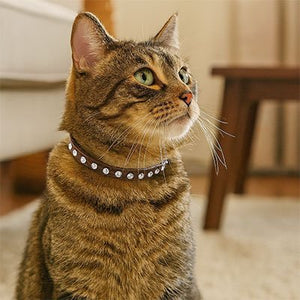 "Collier pour chat Minou loft élégant avec boucle sécurisée anti-étranglement"