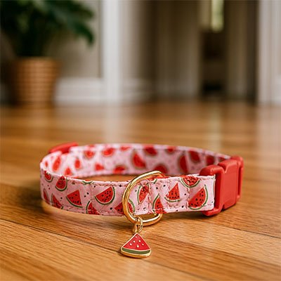Collier chat rose motif pastèque Minou Loft™