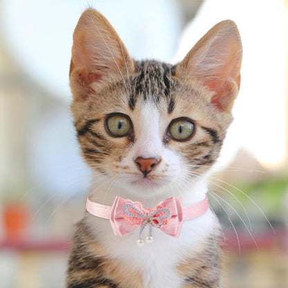 Chaton tabby avec collier rose nœud papillon perles et strass
