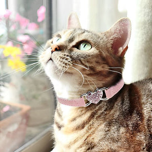 Collier rose pour chat avec pendentif cœur strass - chat tigré près d'une fenêtre
