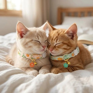Deux chatons roux endormis côte à côte portant des colliers pour chat fleuris avec clochette dorée