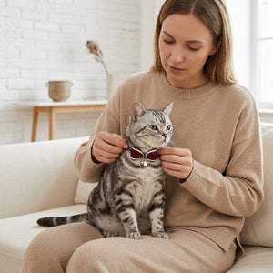 Femme attachant collier chat nœud papillon bordeaux clochette sur chat tigré canapé