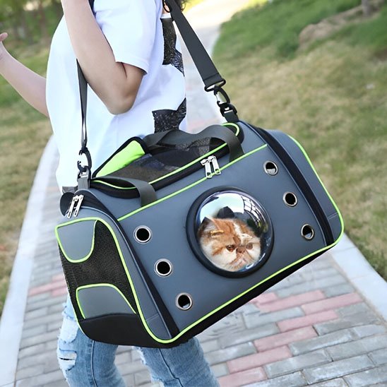 Femme marchant dans un parc avec un sac de transport pour chat capsule vert et chat persan roux visible
