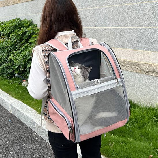 Femme portant un sac à dos transport chat rose avec fenêtre mesh et chat gris blanc