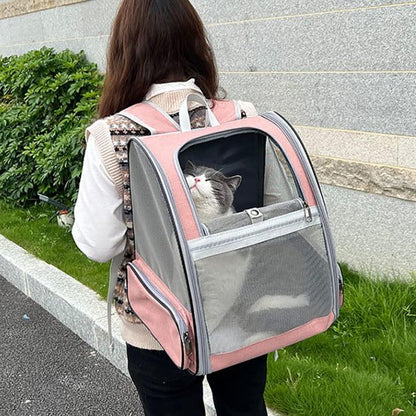 Femme portant un sac à dos transport chat rose avec fenêtre mesh et chat gris blanc