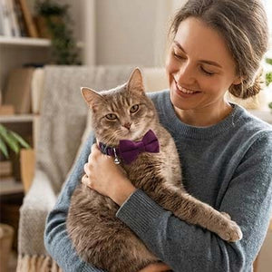 Femme tenant son chat dans les bras avec un collier nœud papillon violet 