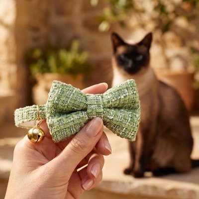 Gros plan sur un collier chat nœud papillon vert tweed avec clochette dorée
