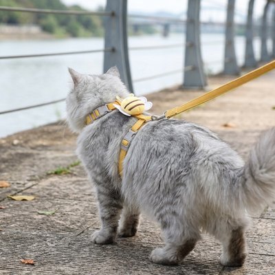 Harnais chat anti-évasion jaune pour promenade extérieur 